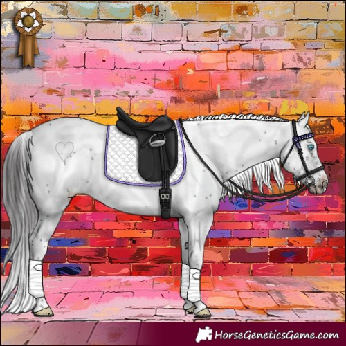 Horse Color:Smoky Black Sabino Frame 
