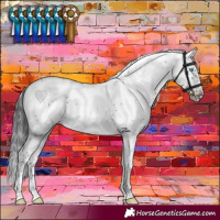 Horse Color:Smoky Black Sabino Frame