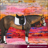 Horse Color:Buckskin Sabino