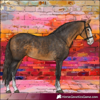 Horse Color:Buckskin Sabino