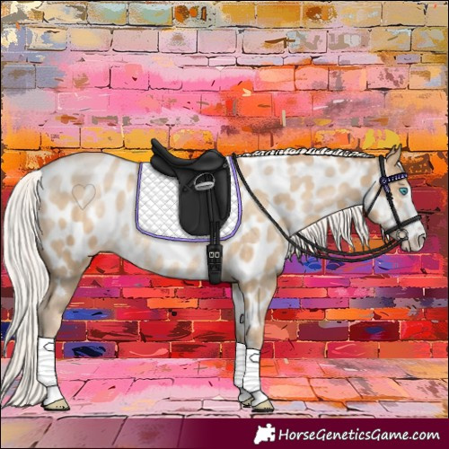 Horse Color:Silver Smoky Black Pearl Appaloosa Rabicano 