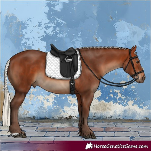 Horse Color:Silver Brown