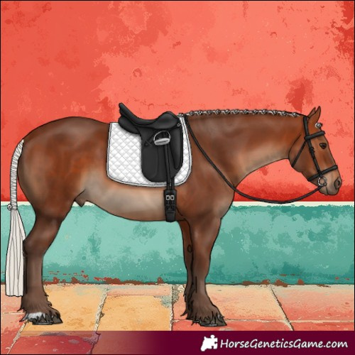 Horse Color:Silver Brown 