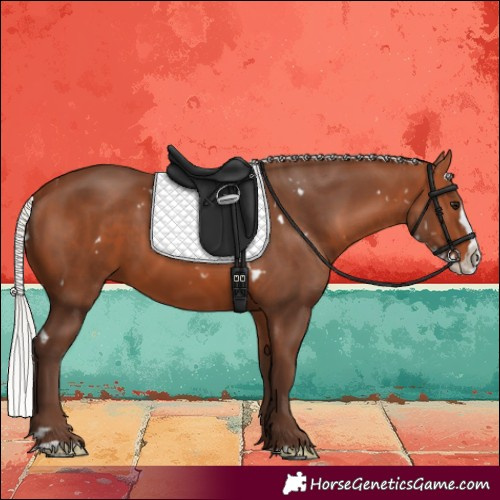 Horse Color:White Spotted Silver Bay Splash 
