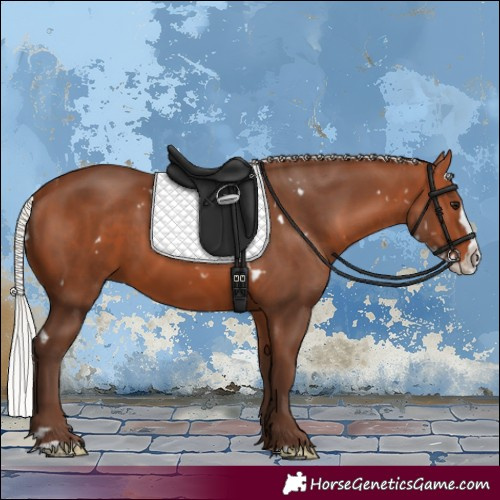 Horse Color:White Spotted Silver Bay Splash