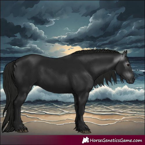 Horse Color:Gray White Spotted Smoky Black