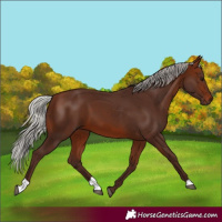 Horse Color:Silver Brown