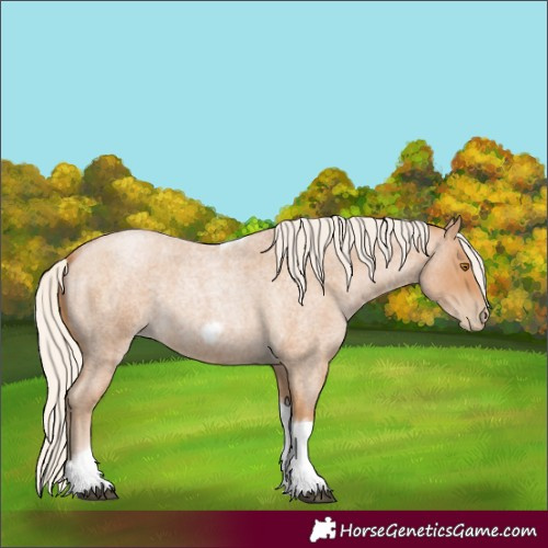 Horse Color:Silver Blue Roan Pearl Tobiano Frame