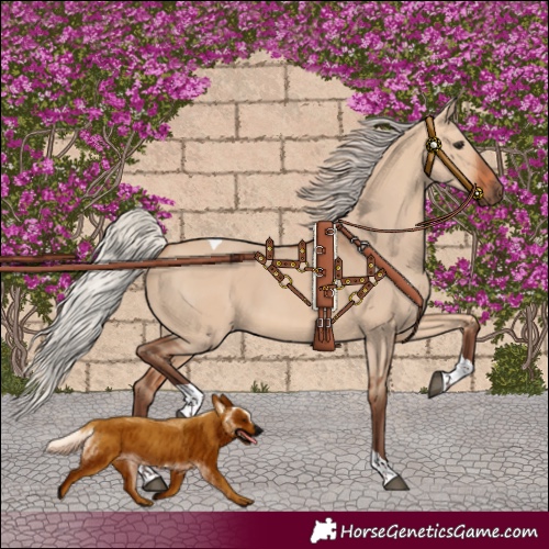 Horse Color:Silver Bay Dun Tobiano 