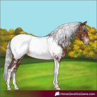 Horse Color:Silver Brown Tobiano Near Fewspot