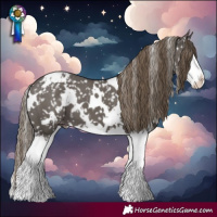 Horse Color:White Spotted Smoky Grullo Splash Snowflake Varnish 