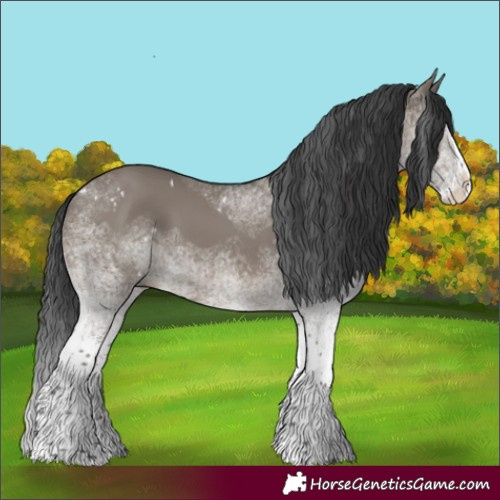 Horse Color:White Spotted Grullo Splash 