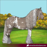Horse Color:White Spotted Silver Grullo Tobiano
