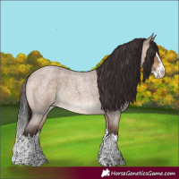 Horse Color:Brown Roan Dun Splash