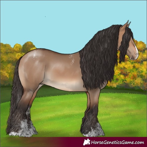 Horse Color:Powder White Bay Dun Splash Rabicano 