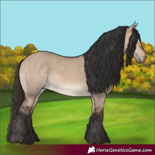 Horse Color:Brown Dun 