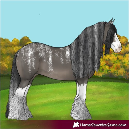 Horse Color:Powder White Grullo Splash