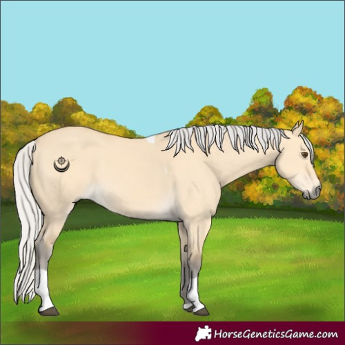 Horse Color:Silver Buckskin Dun Tobiano 