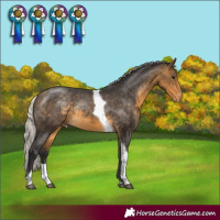 Horse Color:Silver Buckskin Tobiano Varnish Rabicano 