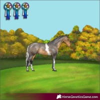Horse Color:Silver Buckskin Tobiano Varnish Rabicano