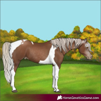 Horse Color:Gray Silver Black Pearl Tobiano 