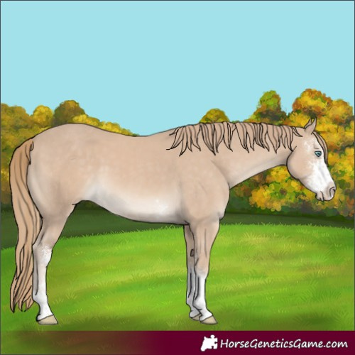Horse Color:Smoky Creme Sabino
