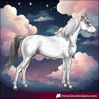 Horse Color:White Spotted Black Splash Tobiano Frame Blanket 