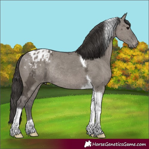 Horse Color:Smoky Grullo Ice Tobiano Appaloosa Rabicano 