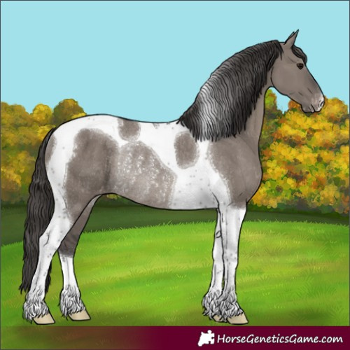 Horse Color:Smoky Grullo Tobiano Appaloosa Rabicano 