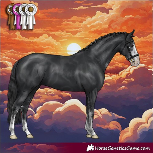 Horse Color:Black Sabino