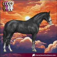 Horse Color:Black Sabino 