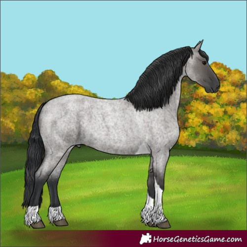 Horse Color:Grullo Roan Tobiano