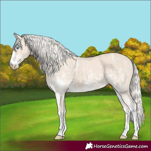 Horse Color:Cremello Sabino and Cremello Sabino