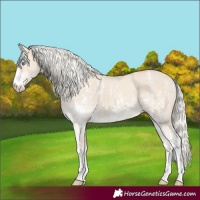 Horse Color:Cremello Sabino  and Cremello Sabino 