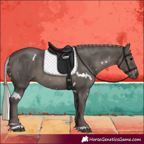 Horse Color:White Spotted Silver Black 