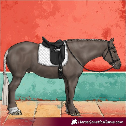Horse Color:Silver Black