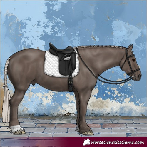 Horse Color:Silver Black 