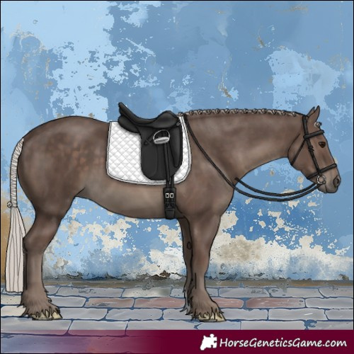 Horse Color:Silver Black 