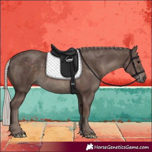 Horse Color:Silver Black