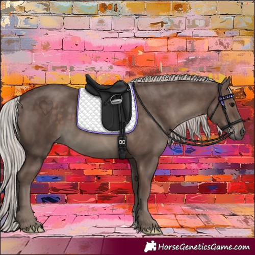 Horse Color:Silver Black 