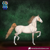 Horse Color:Gold Champagne Roan Splash