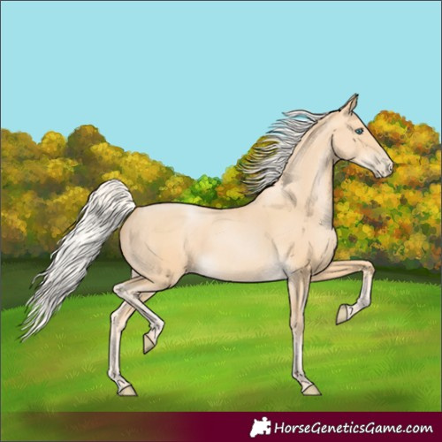 Horse Color:Silver Buckskin Pearl