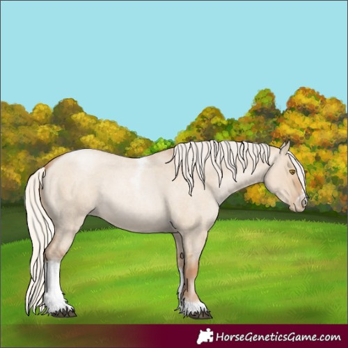 Horse Color:Silver Grullo Roan Pearl Tobiano Frame