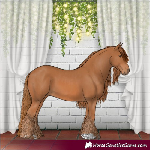 Horse Color:Chestnut  and Chestnut 