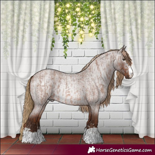 Horse Color:Red Roan and Gray Red Roan