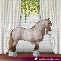 Horse Color:Red Roan  and Gray Red Roan 