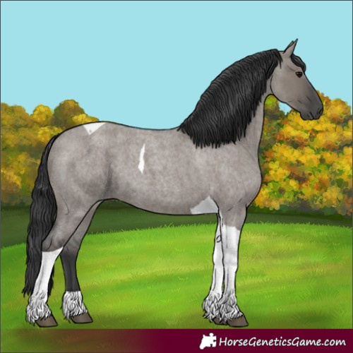 Horse Color:Grullo Roan Tobiano 