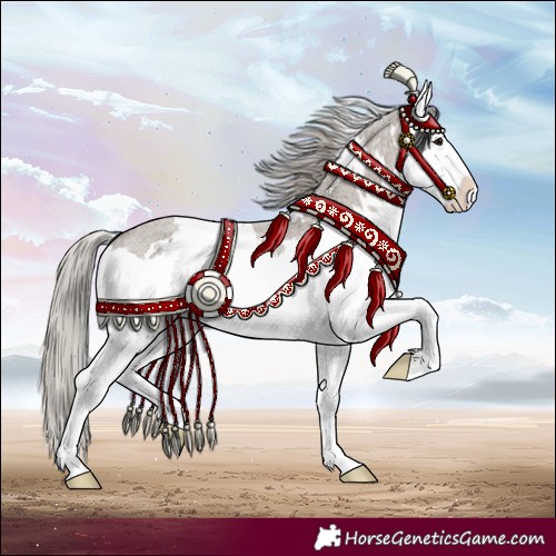 Horse Color:White Spotted Silver Grullo Roan Splash Rabicano