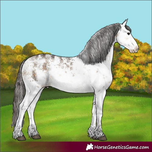 Horse Color:White Spotted Buckskin Sabino