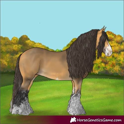 Horse Color:White Spotted Buckskin Splash Rabicano 